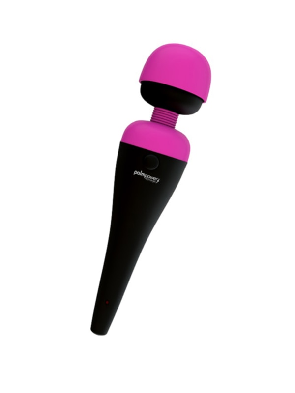 PalmPower Massage Wand Recharge Waterproof