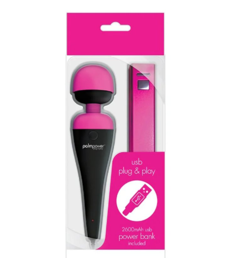 PalmPower Massage Wand Plug & Play USB