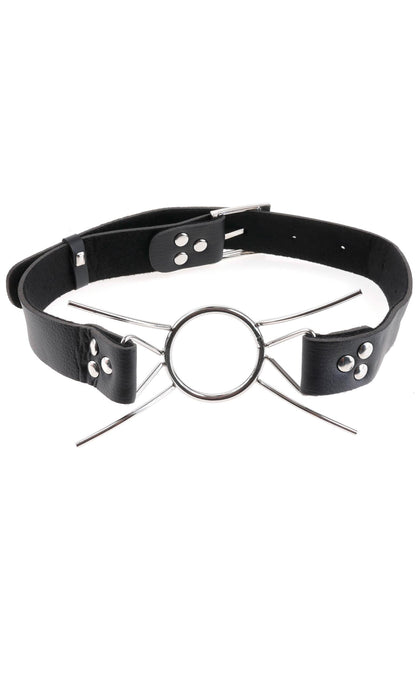 FFE Spider Gag