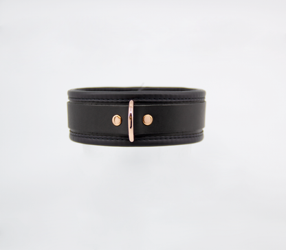 Col048 Leather Collar With Coloured Hardware