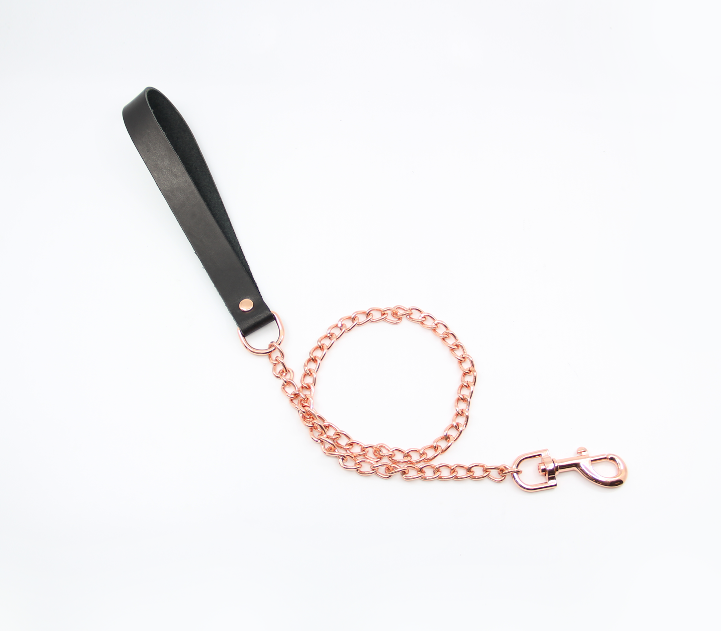 Lea048 Leather & Chain Lead