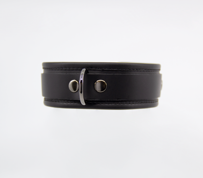 Col048 Leather Collar With Coloured Hardware