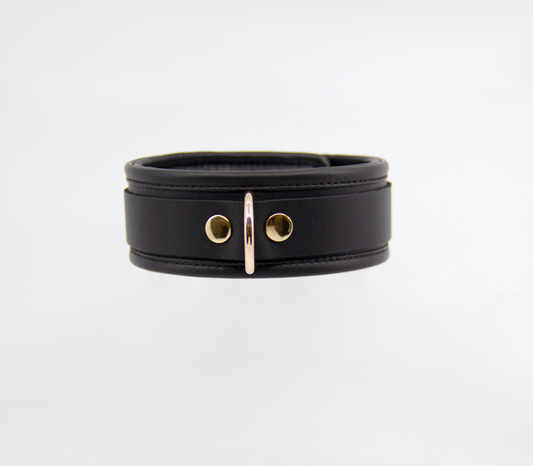 Col048 Leather Collar With Coloured Hardware