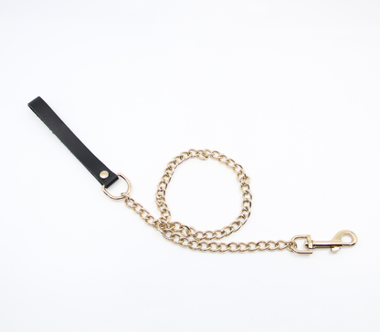 Lea048 Leather & Chain Lead