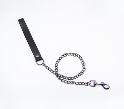 Lea048 Leather & Chain Lead