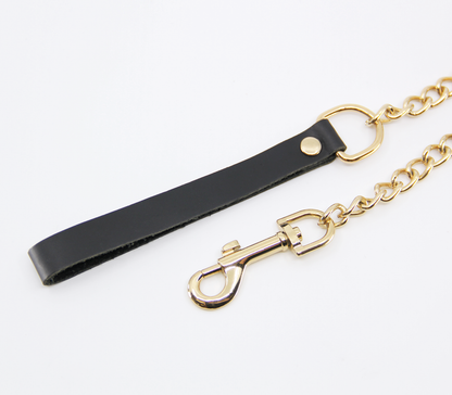 Lea048 Leather & Chain Lead
