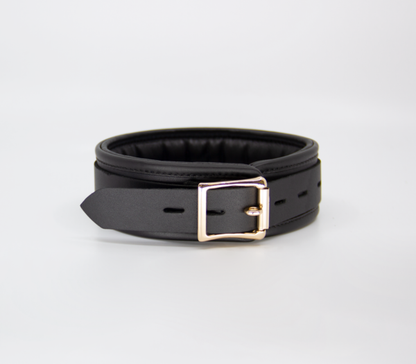 Col048 Leather Collar With Coloured Hardware