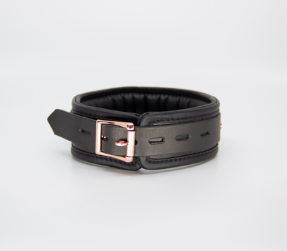 Col048 Leather Collar With Coloured Hardware