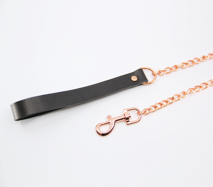Lea048 Leather & Chain Lead