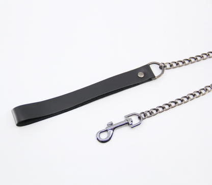 Lea048 Leather & Chain Lead