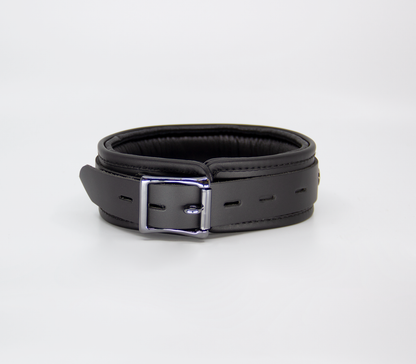 Col048 Leather Collar With Coloured Hardware