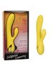 California Dreaming San Diego Seduction Vibrator