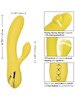 California Dreaming San Diego Seduction Vibrator