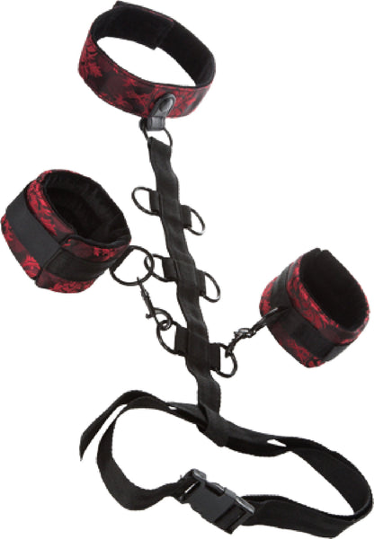Collar Body Restraint