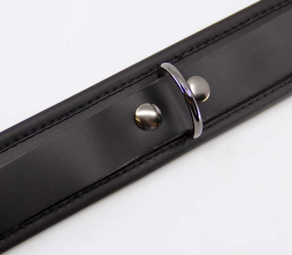 Col048 Leather Collar With Coloured Hardware