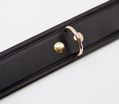 Col048 Leather Collar With Coloured Hardware