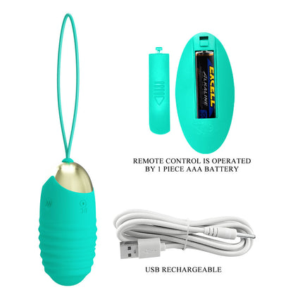 Party Up IAN Remote Egg - Teal - Teal USB Rechargeable Vibrating Egg with Wireless Remote