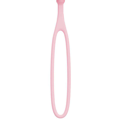 Adam & Eve PILLOW TALK EGG - Pink USB Rechargeable Vibrating Egg with Wireless Remote Control